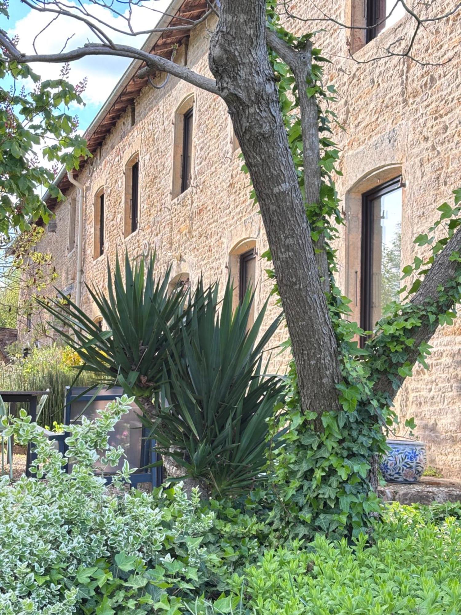 Domaine Du Vernay Mazille Esterno foto