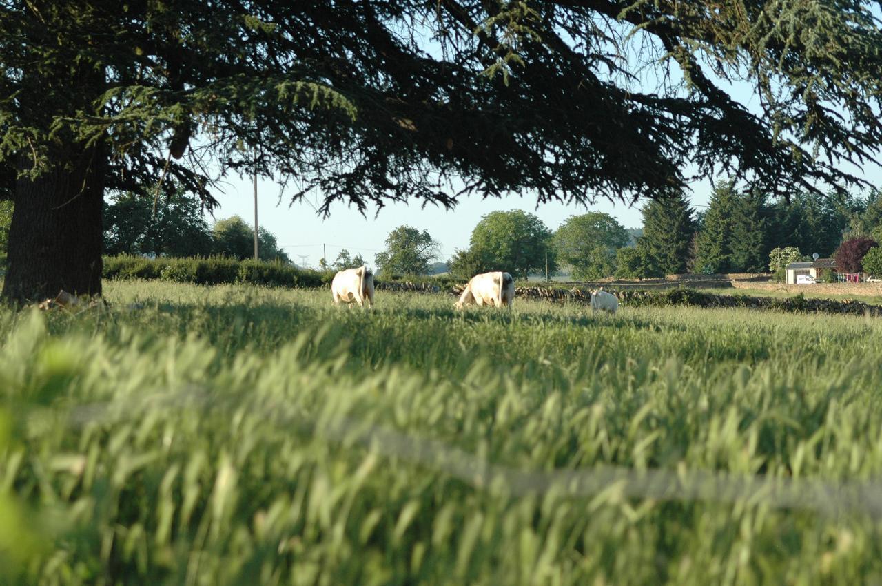 Domaine Du Vernay Mazille Esterno foto